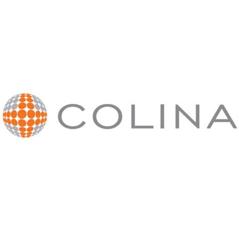 BUSINESS DIEGO COLINA LTD overview